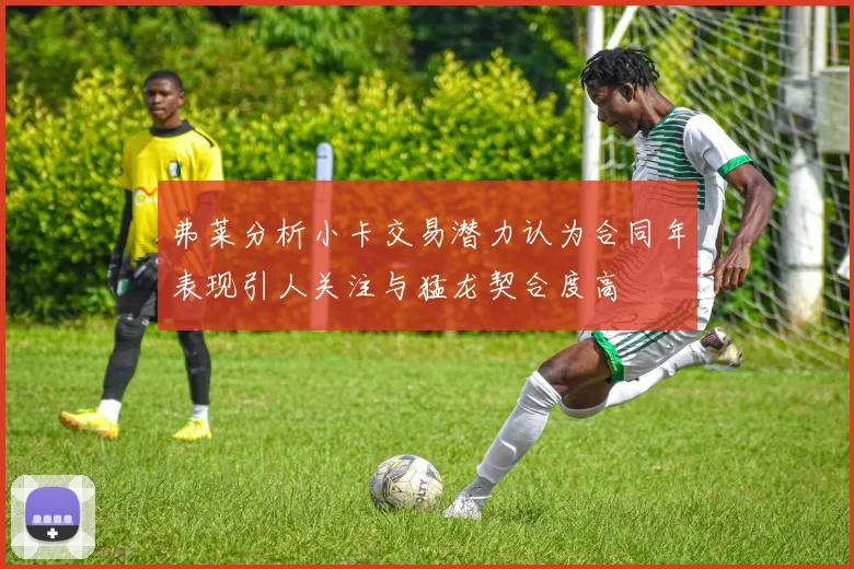 弗莱分析小卡交易潜力认为合同年表现引人关注与猛龙契合度高
